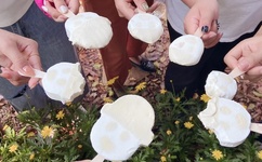 一个人视频日本在线观看